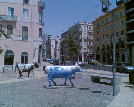 Cesta03_Lissabon_kravy1
