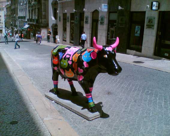 Cesta03_Lissabon_kravy2
