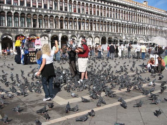 Venezia