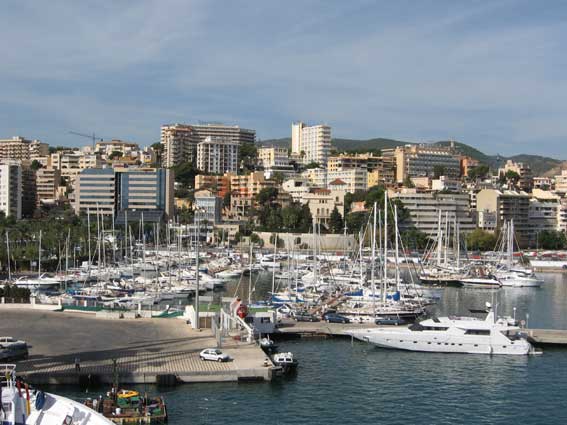 Palma