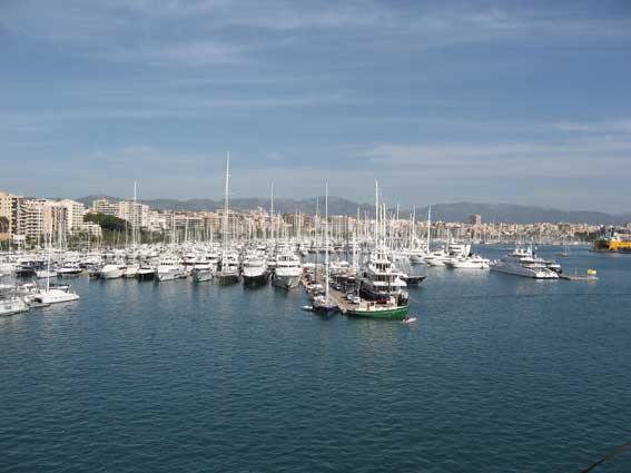 Palma