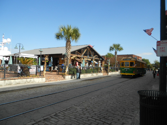 Savannah