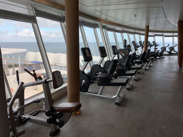 MS2-fitness