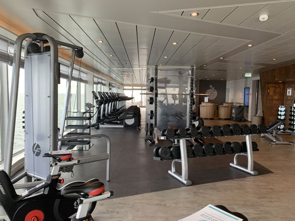 MS2-fitness