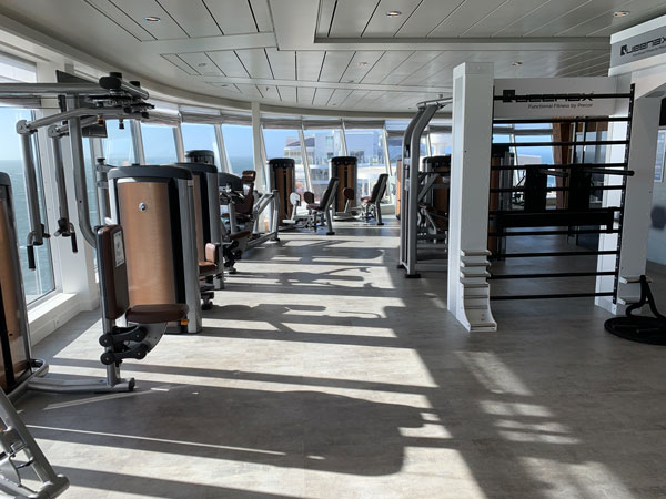 MS2-fitness