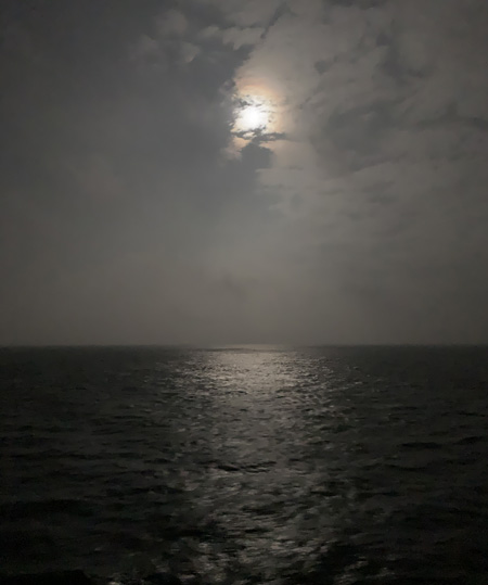 MS2-see_in_darkness