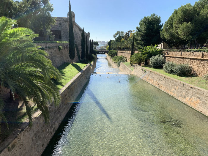 MSH-Mallorca