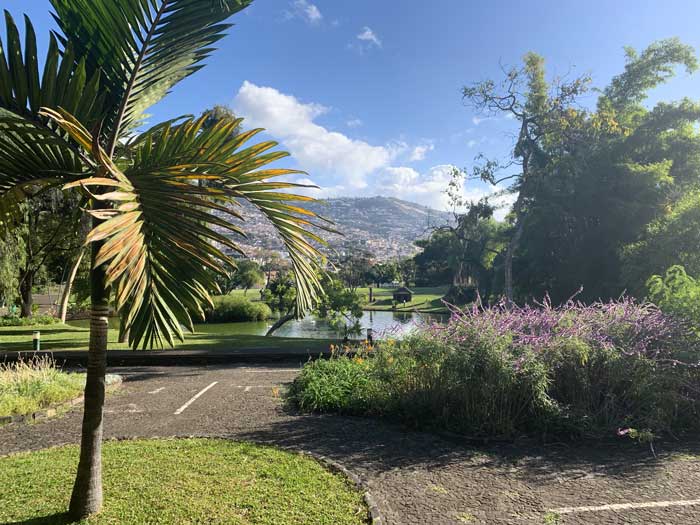 MSH-Madeira