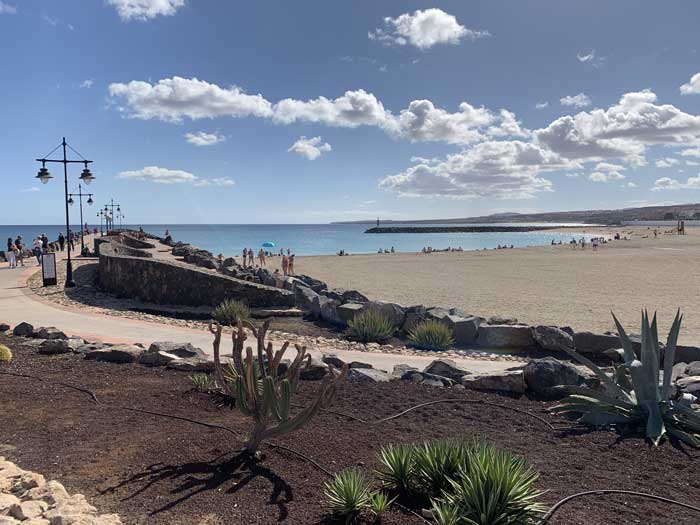 MSH-Fuerteventura