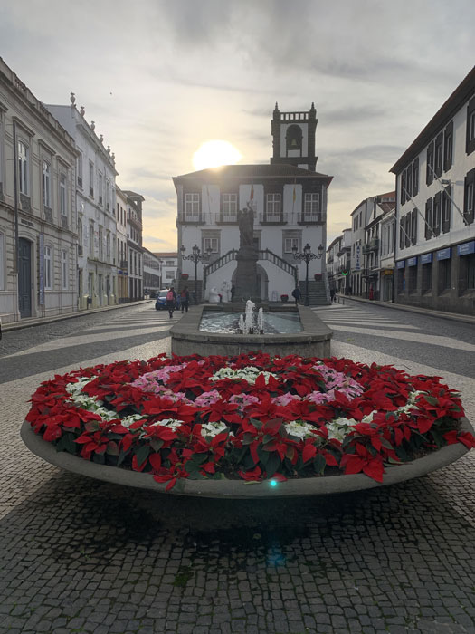 MSH-Delgada