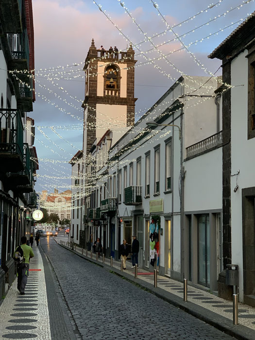 MSH-Delgada