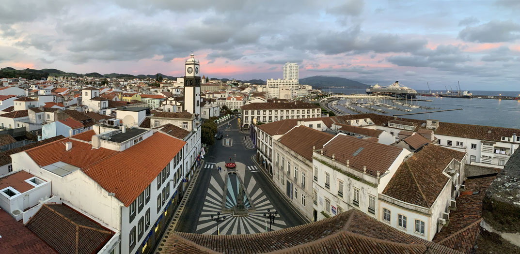 MSH-Delgada