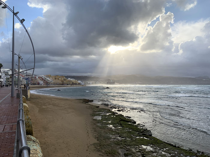 MSH-LasPalmas