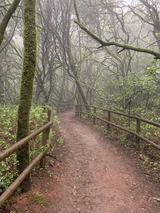 MSH-Gomera