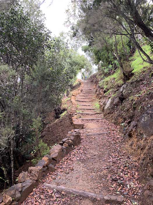MSH-Gomera